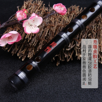 乐器专业吹奏竹笛子祖师鬼笛入门初学古风演奏炎黄横笛 丹田精品D 调[刻问灵诗句+吹奏]+赠品