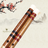 笛子5支7支套装笛子初学套笛乐器横笛苦竹笛品笛子 7支黑色+学习资料+套笛包