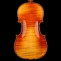 V09小提琴专业级考级成人儿童初学者演奏级手工学生