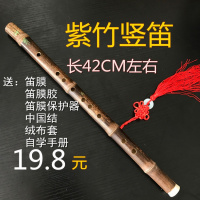 竖横笛苦竹紫竹笛子炎成人儿童初学魔道祖师陈情舞蹈道具COS笛 紫竹竖笛