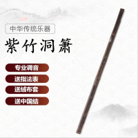竖横笛苦竹紫竹笛子炎成人儿童初学魔道祖师陈情舞蹈道具COS笛 紫竹长洞箫