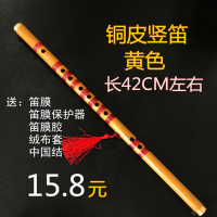 竖横笛苦竹紫竹笛子炎成人儿童初学魔道祖师陈情舞蹈道具COS笛 铜皮苦竹竖笛黄色