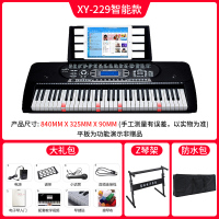 电子琴炎成人初学者入多功能61键儿童家用专业幼师教学 [专业智能亮灯版]229琴+厚琴架+防水包+礼包