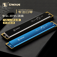 天鹅(Tian E)口琴初学者小学生儿童入门24孔复音C调男士风专用乐器