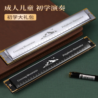 天鹅(Tian E)口琴初学者小学生入门儿童c调复音28孔重风专用男士乐器