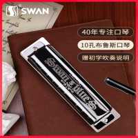 天鹅(Tian E)布鲁斯口琴10孔C调儿童初学者入门专业十孔蓝调paddy调音