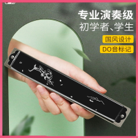 天鹅(Tian E)口琴24孔初学者小学生复音C调儿童男士风入门专用乐器