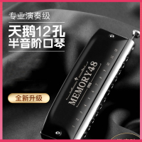 天鹅(Tian E)半音阶口琴12孔初学者入门学生儿童男士专业演奏级乐器