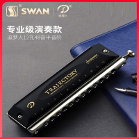 天鹅(Tian E)追梦人半音阶口琴12孔C调初学者入门学生男专业演奏乐器