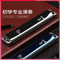 天鹅(Tian E)追梦人口琴24孔复音C调初学者儿童小学生入门专用风男士