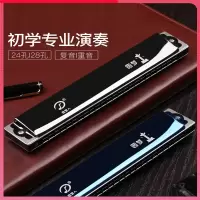 天鹅(Tian E)追梦人口琴24孔复音C调初学者儿童小学生入门专用风男士