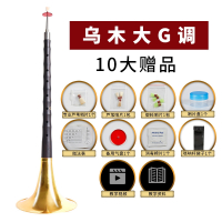 炎黄演奏专业乌木唢呐乐器全套d调D调初学者入门小号锁呐哨片配件_乌木大G调黄碗+10大赠品
