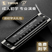 天鹅(Tian E)布鲁斯口琴初学者专业演奏级10十孔入门