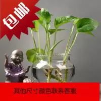 创意绿萝水培植物透明玻璃花瓶容器水养花盆器皿客厅办公装饰摆件