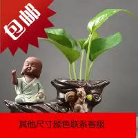 创意绿萝水培花瓶水养植物盆器花盆插花容器器皿客厅桌面装饰摆件