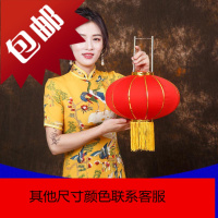 大红灯笼灯小挂饰节日户外阳台室内福字乔迁新居过年春节装饰用品