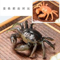 茶宠物茶具摆件冲水变色螃蟹装饰品创意个性茶台茶宝可养茶艺精品
