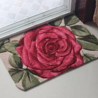 加厚毯子地垫地毯吸水防滑垫子卫生间玄关进垫脚垫家用