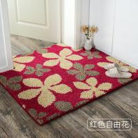 地垫进地毯垫脚垫家用定制玄关入户大口吸水防滑垫子卧室