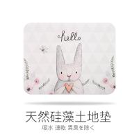 ins北欧硅藻泥脚垫卫生间卫浴垫硅藻土地垫吸水速干浴室防滑垫
