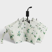 文艺伞雨伞女少女心ins折叠晴雨两用太阳伞防晒防紫外线森系女神