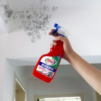 专业墙纸除霉剂白色墙体墙面强效去霉剂墙壁霉菌清除去霉斑防霉剂