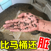 [2瓶]洗衣机清洁剂家用全自动滚筒洗衣机除垢清洗剂内筒清理