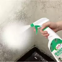 霉虫清除剂墙体除霉剂白墙墙面墙纸墙布霉菌发霉去霉斑清除防霉去