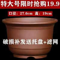 紫砂花盆陶瓷盆君子兰花盆 兰花盆 吊兰花盆阳台绿萝种菜花盆