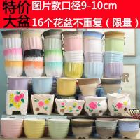 多肉花盆陶瓷大号绿植物专用创意个性阳台拼盘小盆栽特价清仓