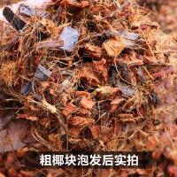 。金钱粗椰植料营养砖椰树盆栽糠兰花壳块粗耶红掌绿植块丝土椰子