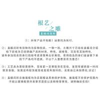 直播专拍根摆件崖柏根山水动物木刻工艺品客厅玄关金丝楠木