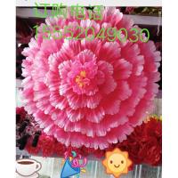 幼儿园儿童舞蹈道具牡丹花手拿花伞跳舞舞台表演运动会开幕演出服