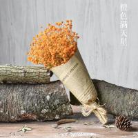 满天星干花小花束装饰真花摆件网红ins天然永生花摆设教师节