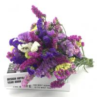 叶水间YADIEL云南直发勿忘我单色混搭居家DIY毕业纪念周年半干花