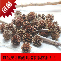 松果装饰带籽干莲蓬天然干花 幼儿园干树枝森系手工diy材料包松塔