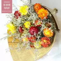 雏菊非洲菊干花花束真花干花装饰摆设永生花满天星情人七彩菊