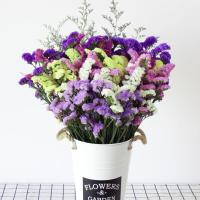 云南十八怪鲜花称斤卖天然干花花束勿忘我大花束客厅家居装饰摆件