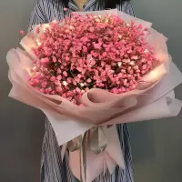 满天星干花束鲜花速递生日毕业照清新送闺蜜老婆网红ins真花