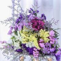 云南大束满天星勿忘我鲜花干花真花花束天然干插花论斤卖永生花