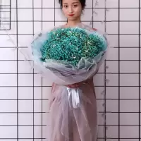 超大束满天星干花束鲜花速递生日毕业照送闺蜜老婆生日花花束