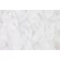 新娘粉红纯露花瓣假花辨手工腮红奶白色干花婚礼男友房间现场玫瑰