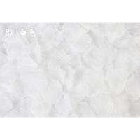 婚房布置婚庆花瓣玫瑰花瓣床撒玫瑰花辨婚礼现场抛洒