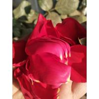 现采现发玫瑰花瓣婚庆用品求婚房布置表白生日惊喜500g十斤