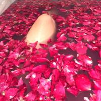 泡澡玫瑰花瓣泡泡浴牛奶浴超多泡泡泡脚足浴温泉婚庆真干花瓣150g