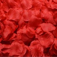 。舞台干花瓣大红色求婚婚房用品粉红道具玖瑰花童装饰红花床上蜡