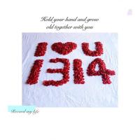 结婚婚庆布置用品婚礼装饰浪漫玫瑰花仿真玫瑰花瓣床上手撒花瓣