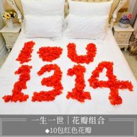 仿真花花瓣求婚布置房间求婚道具场景布置户外婚礼装饰路引新房