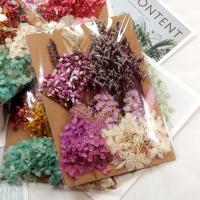 干花永生花DIY押花材 手工压花手机壳滴胶蜡片贴画 相框DIY材料包