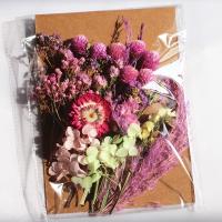 干花永生花混搭花材材料包幼儿园手工diy作业滴胶压花贴画装饰